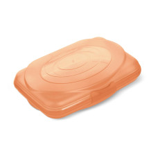 Ланч-бокс "Пранзо"  0,6л